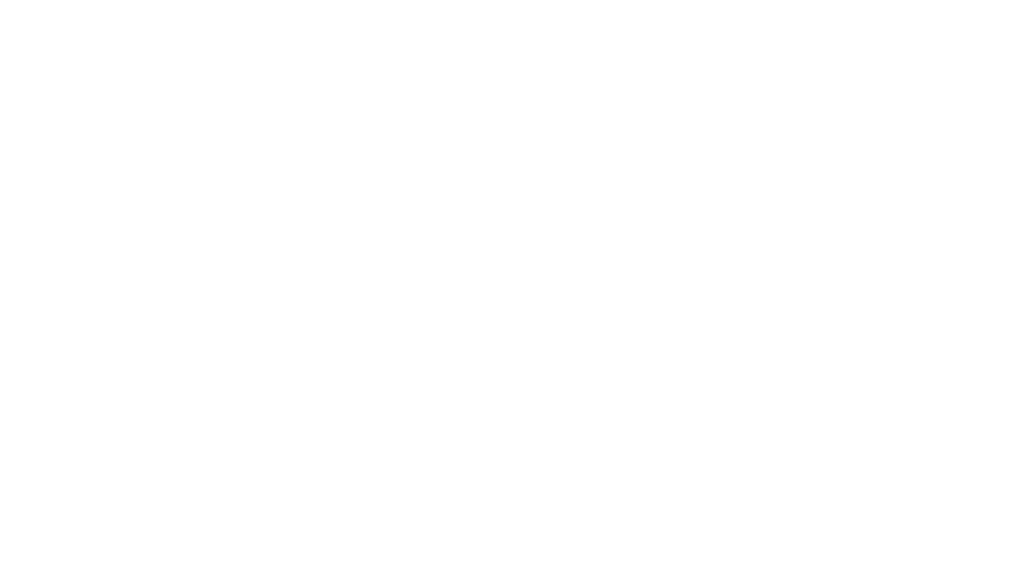limousine service europe logo